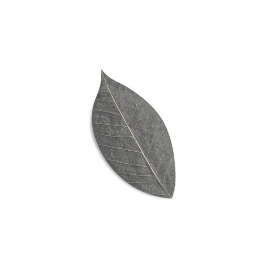 Såpeblad – Kokoskull